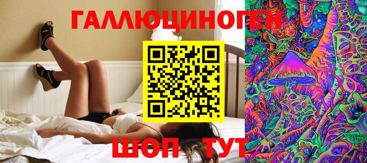 Галлюциногенные грибы Cubensis Алексин